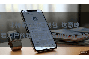 比特派Web3钱包 这意味着用户的私钥王人备由我方掌控