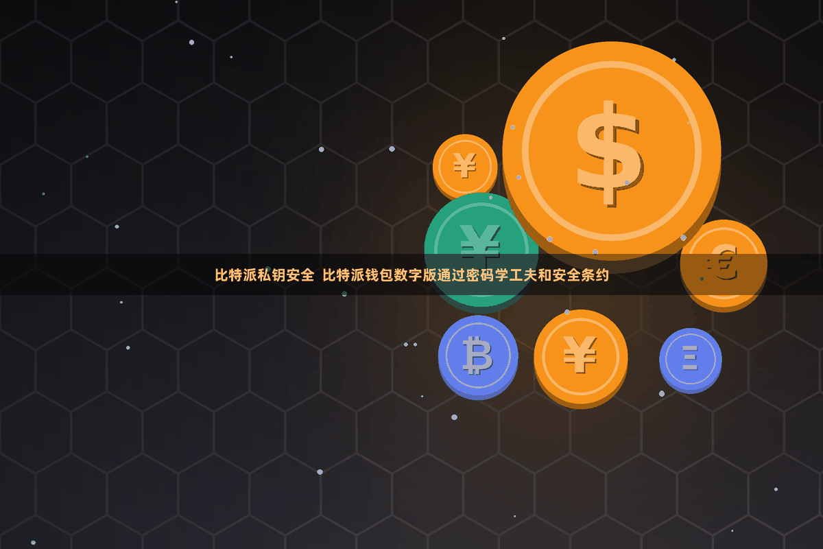 比特派私钥安全  比特派钱包数字版通过密码学工夫和安全条约